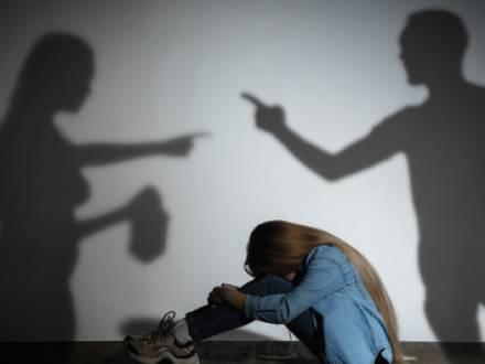 Arlington Heights, IL family law attorney